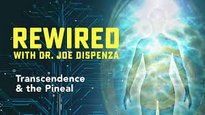 Secular meditation video series: rewired by joe Disppenza 
